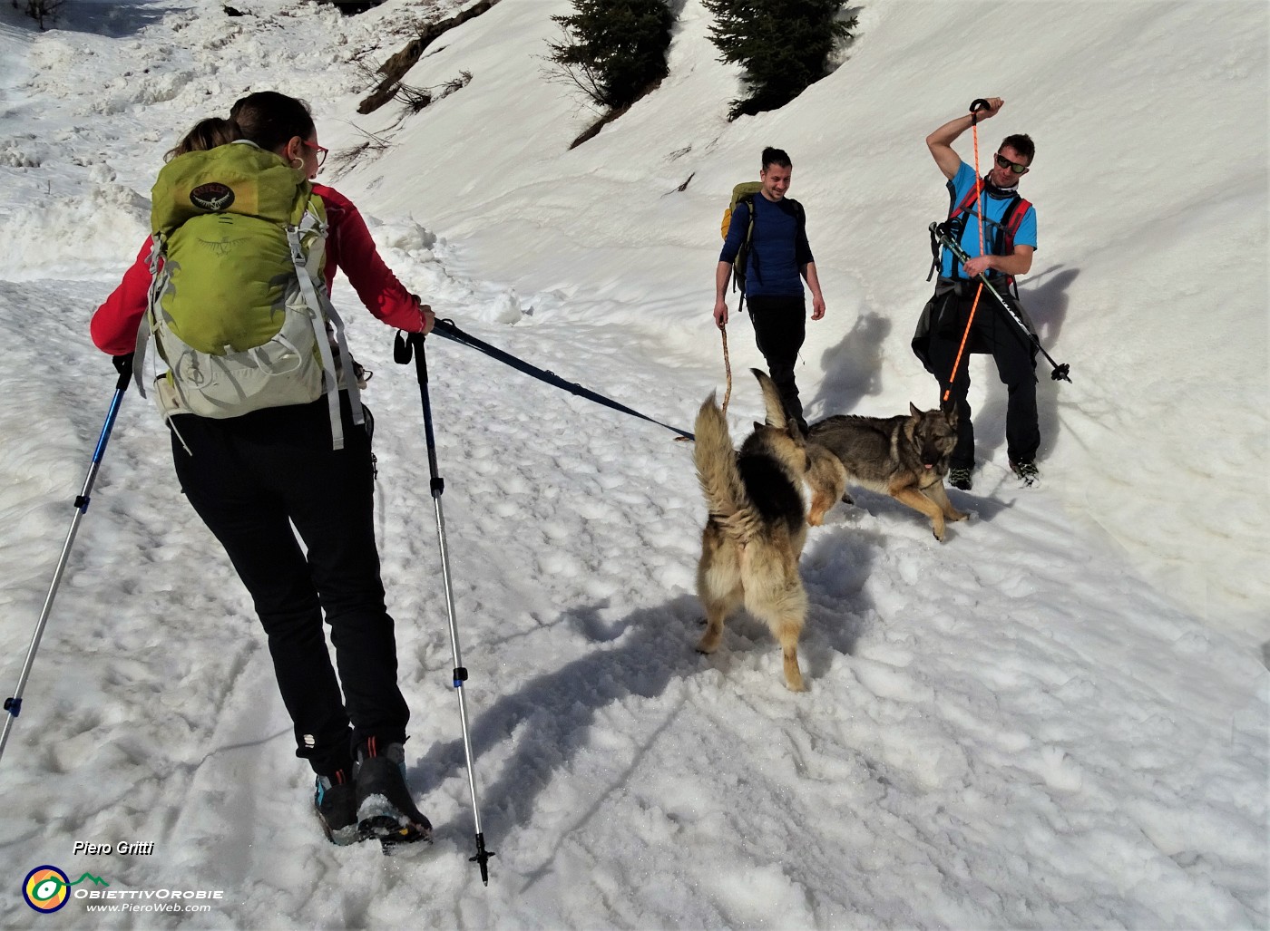 40 Incontri ravvicinati tra cani lupo.JPG